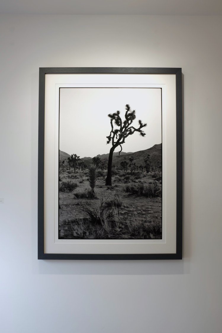 Arthill Gallery Summer Group Show 2017 - 7