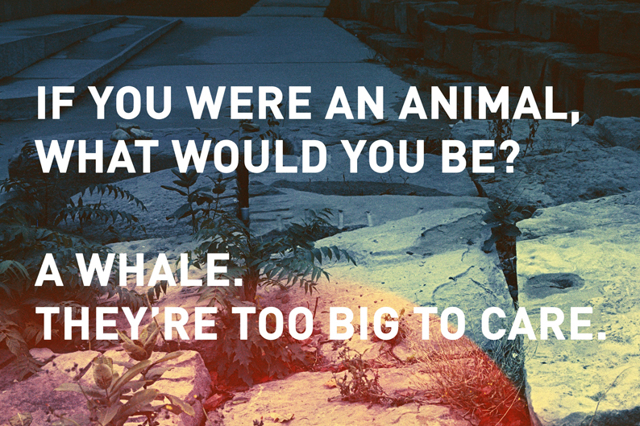 An Apology to a Love Story (detail)