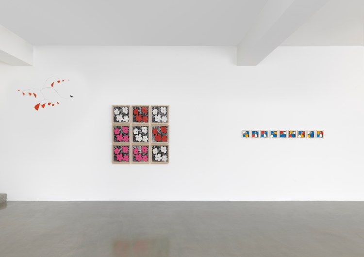 2. Flowers-installation Shot