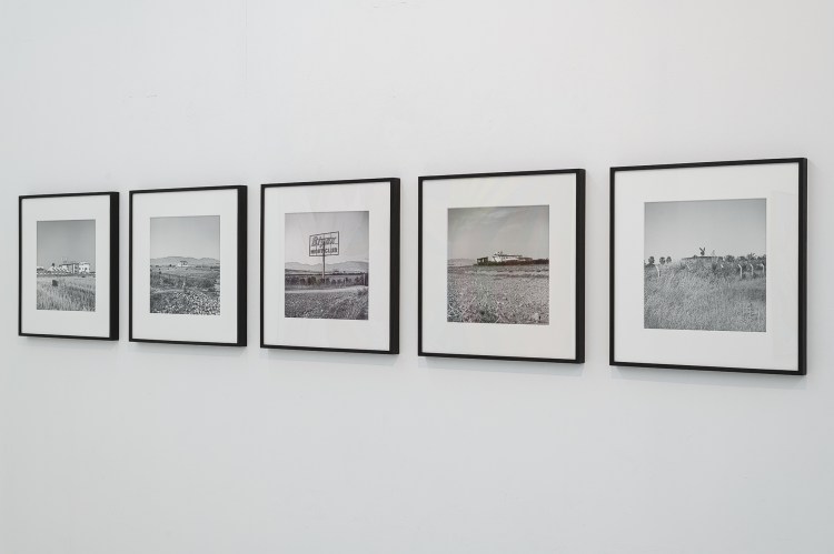 Mustafa Hulusi Artwork: Cyprus Realism.