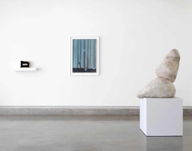 reproduction photo by andrew smart of A.C.Cooper Ltd,London