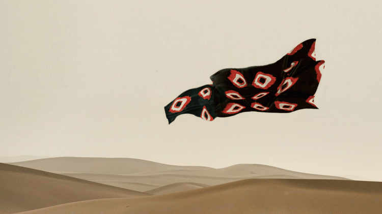 3 Iris II Afraa Ahmed